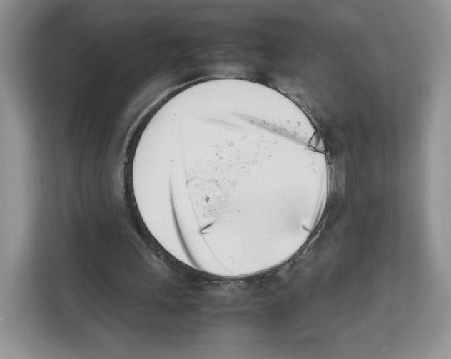 X0000111660243200908281115