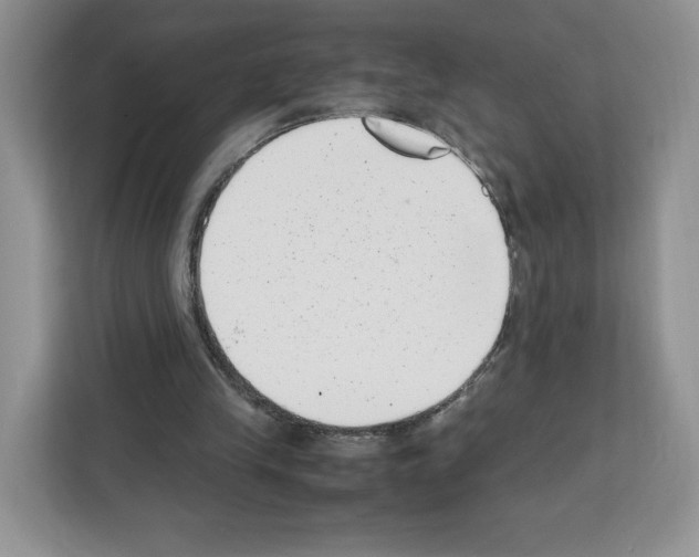 X0000111660245200908281115