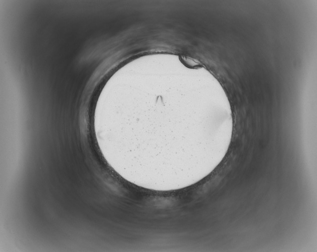 X0000111660247200908281115