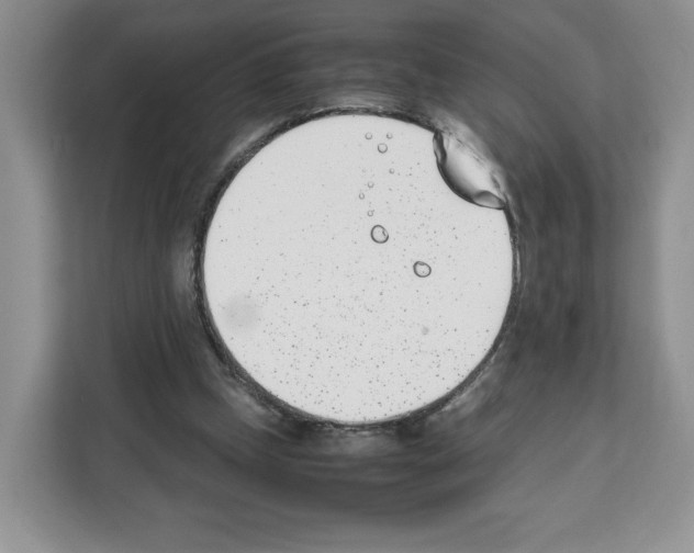 X0000111660249200908281115