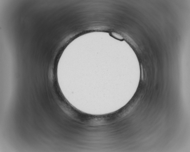 X0000111660252200908281115