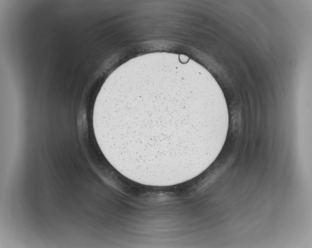 X0000111660254200908281115