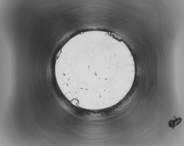 X0000111660256200908281115