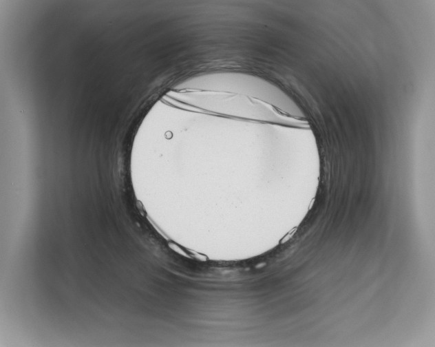 X0000111660260200908281115