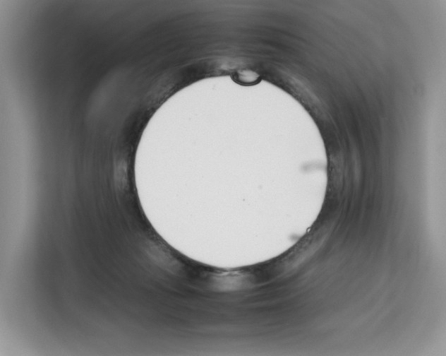 X0000111660269200908281116