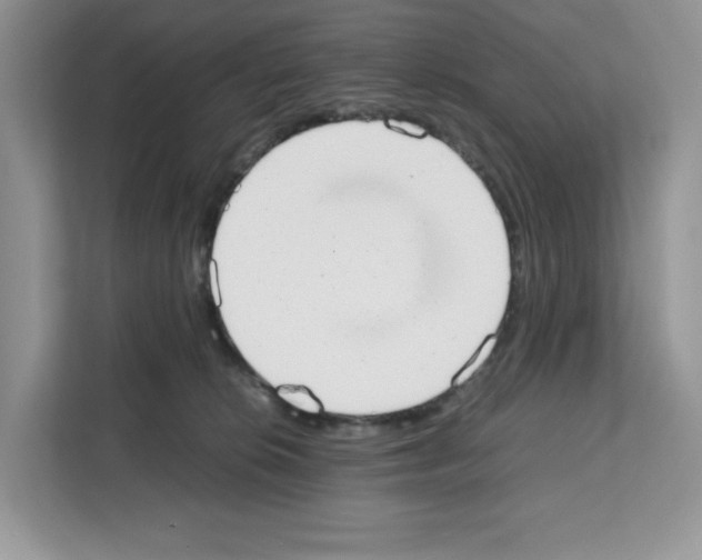 X0000111660276200908281116