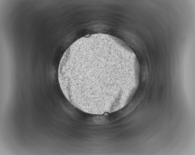 X0000111660279200908281116