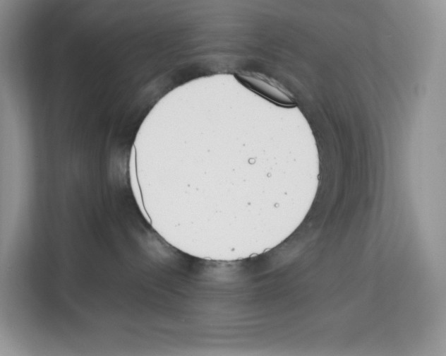 X0000111660288200908281116