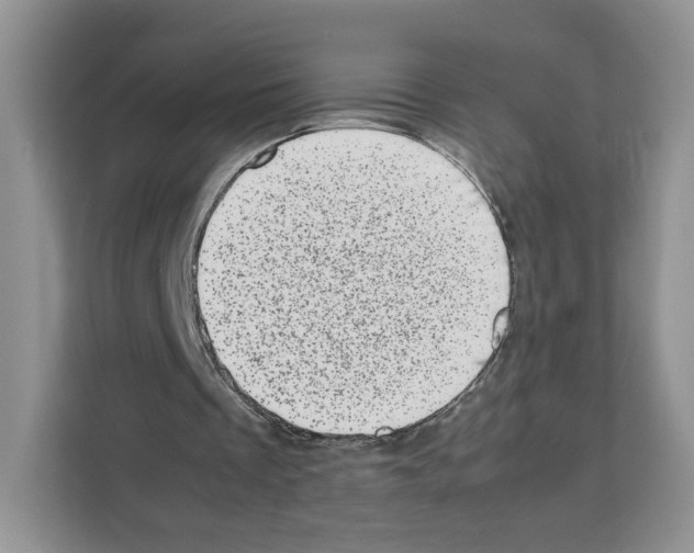 X0000111660289200908281115