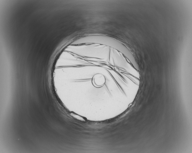 X0000111660293200908281115