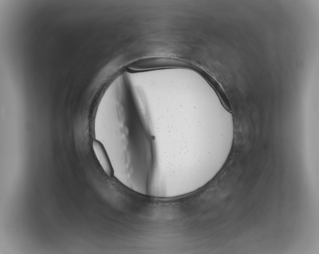 X0000111660296200908281115