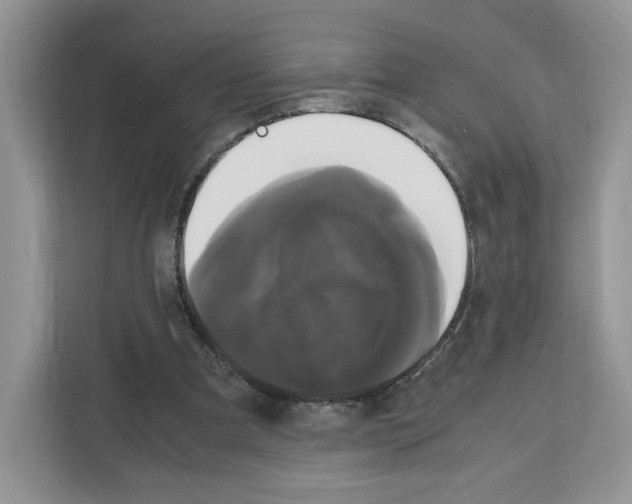 X0000111660297200908281115