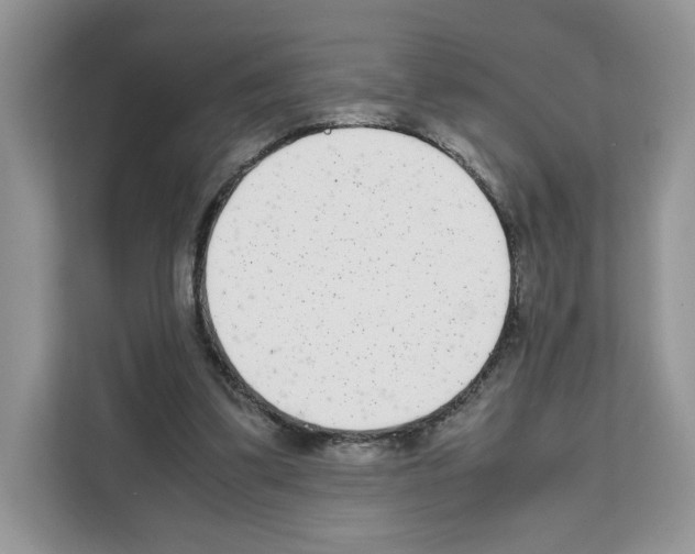 X0000111660299200908281115