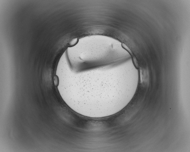 X0000111660300200908281115