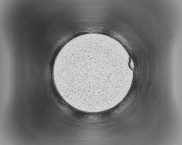 X0000111660303200908281115