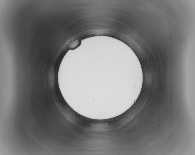 X0000111660304200908281115