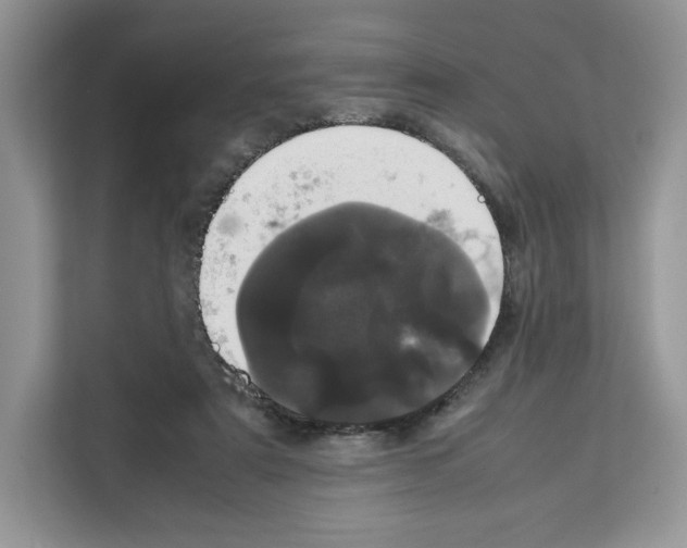 X0000111660307200908281115