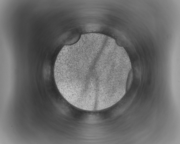 X0000111660308200908281115