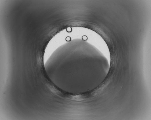 X0000111660309200908281115