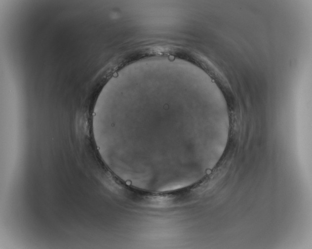 X0000111660313200908281115