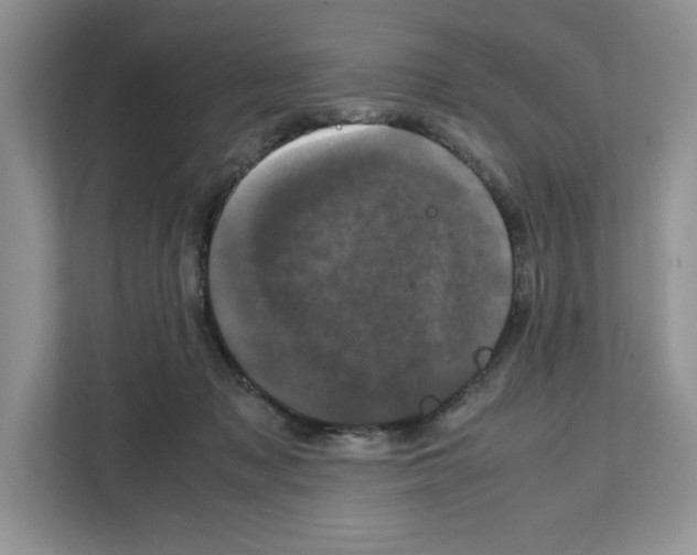 X0000111660317200908281115