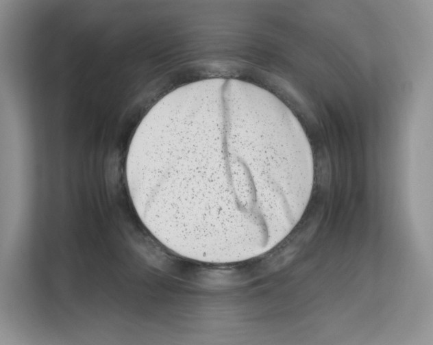 X0000111660318200908281115