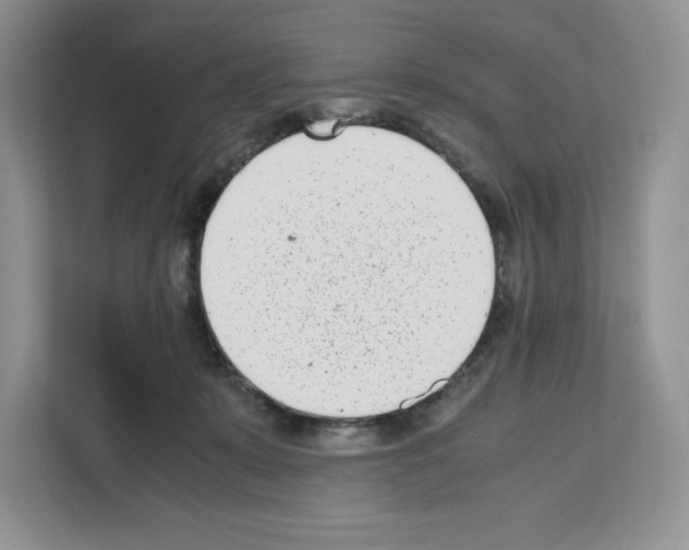 X0000111660319200908281115