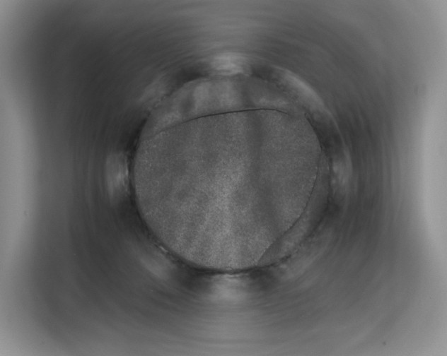 X0000111660320200908281115