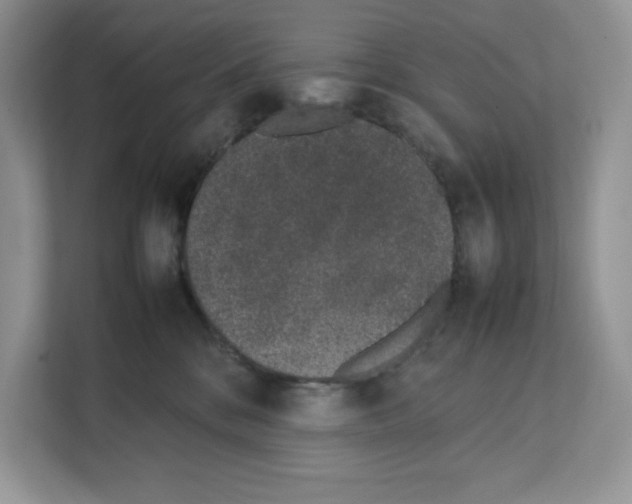 X0000111660328200908281115