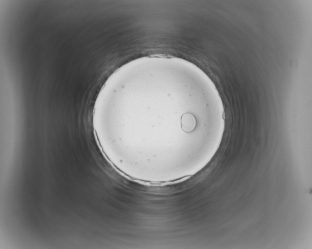 X0000111660336200908281115