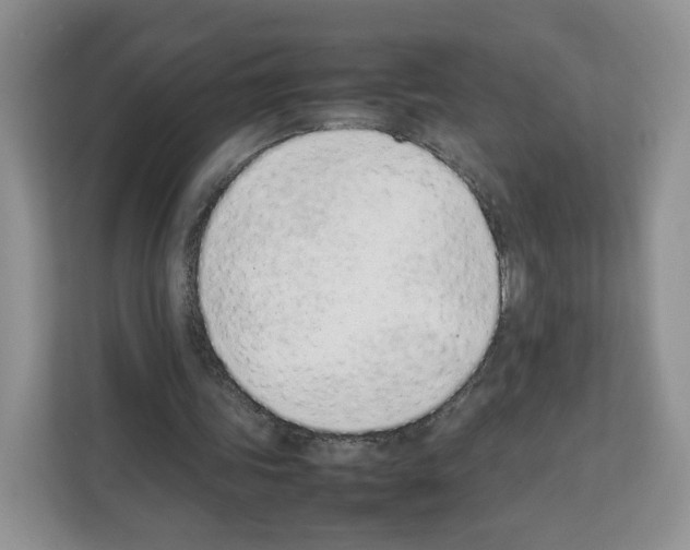 X0000111660339200908281114