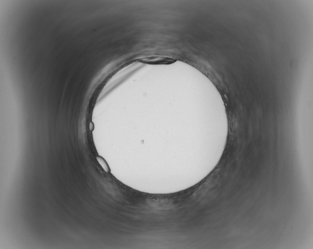 X0000111660340200908281114