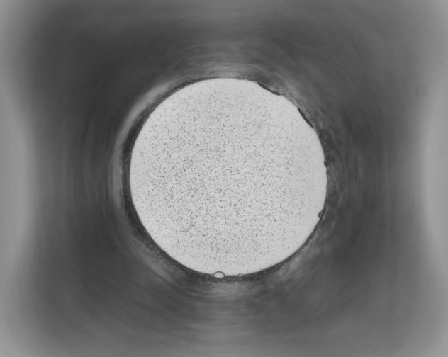 X0000111660342200908281114