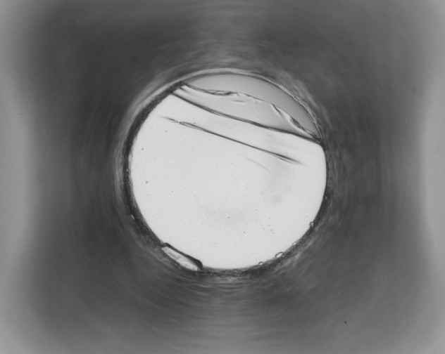 X0000111660344200908281114