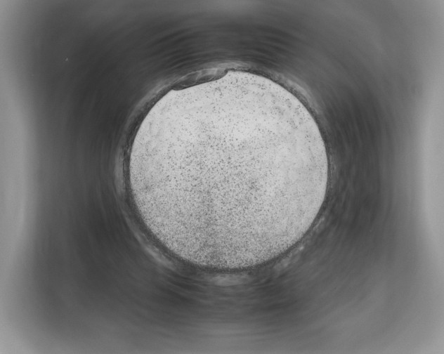 X0000111660345200908281114