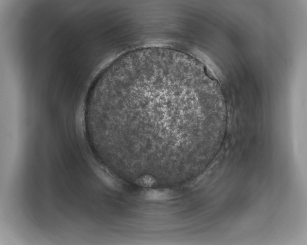 X0000111660346200908281114