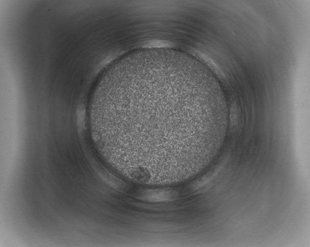 X0000111660351200908281114