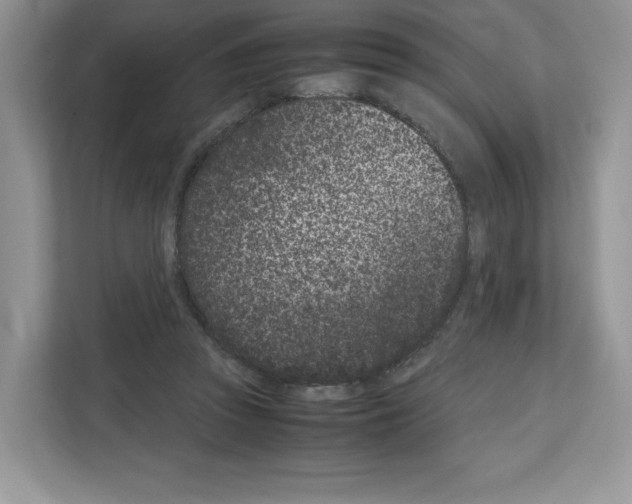 X0000111660353200908281114