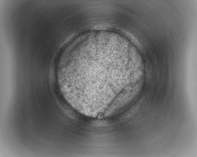 X0000111660354200908281114