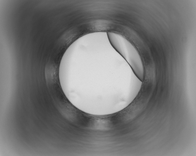 X0000111660360200908281114