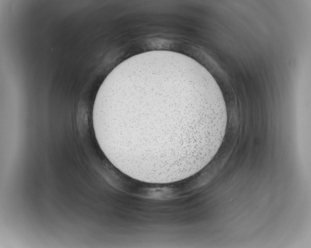 X0000111660363200908281114