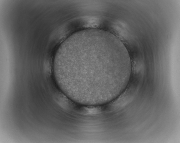 X0000111660370200908281114