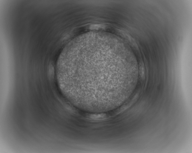 X0000111660375200908281114