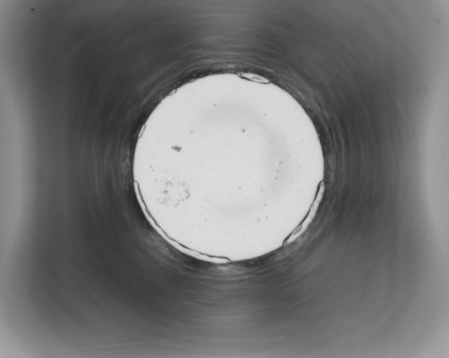 X0000111660376200908281114