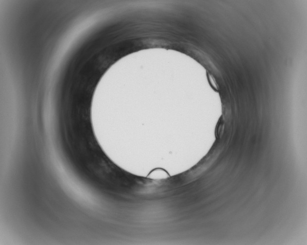 X0000111660382200908281115