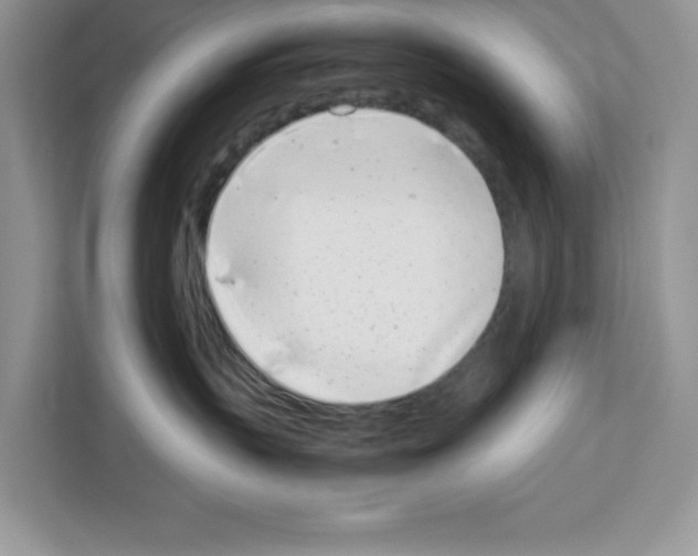 X0000111660383200908281115