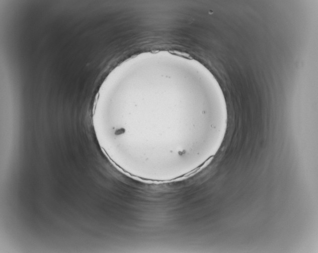 X0000111660384200908281115