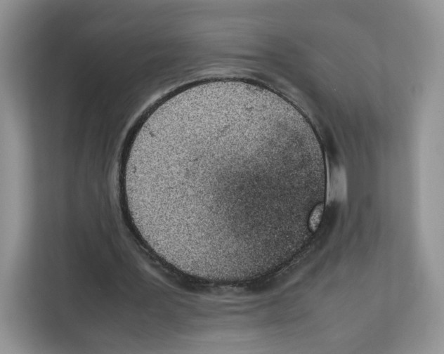 X0000111660387200908281114