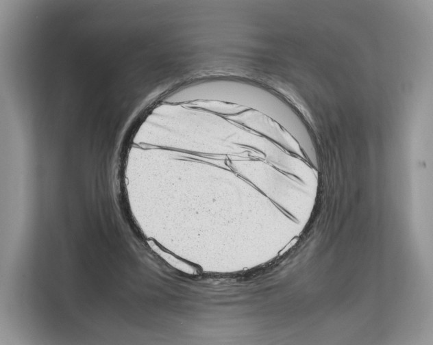 X0000111660395200908281114