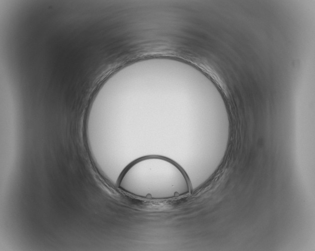 X0000111660397200908281114